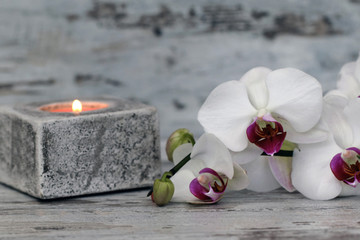Teelicht mit Orchideenblüte