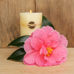 Camellia and candle