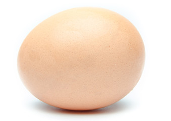 egg on a white background