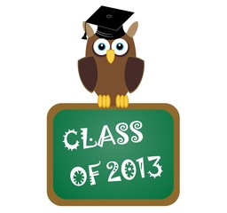 class of 2013 - study owl