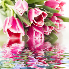 Beautiful bunch of tulips
