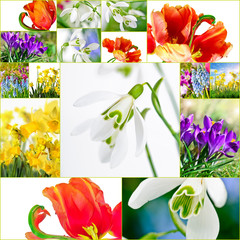 Collage mit bunten Frühlingsmotiven