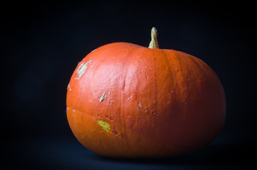 Pumpkin