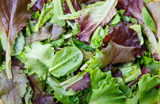 Mixed Greens And Lettuce