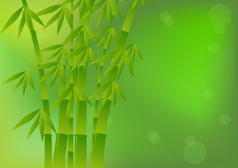 Fototapeta na wymiar green background with bamboo