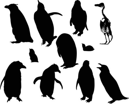penguin silhouettes set isolated on white