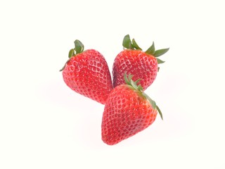fraise sur fond blanc