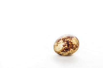 Uovo di quaglia su sfondo bianco