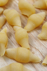 Pasta Shells