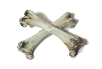 Fototapeta premium Knochenkreuz
