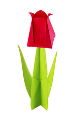Origami paper tulip flower