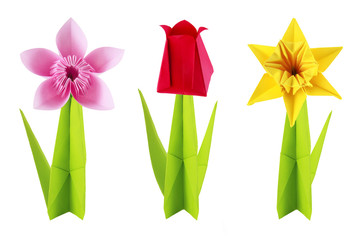 Origami flowers set