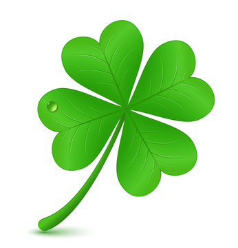 Four leaf clover. St. Patrick's day symbol