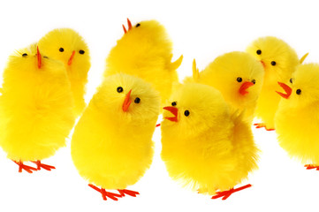 Group Of Easter Chicken
