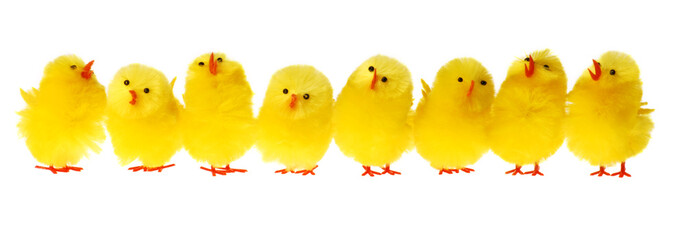 Row Of Easter Chicken