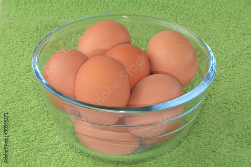 anatomy lab reports on eggs in water and sucrose They provide information about animal anatomy, behavior bailey, regina biology science fair project ideas thoughtco, jun 13, 2017. anatomy lab reports on eggs in water and sucrose They provide information about animal anatomy, behavior bailey, regina biology science fair project ideas thoughtco, jun 13, 2017.