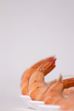 colas langostinos