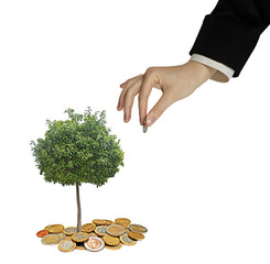 Investing to green business