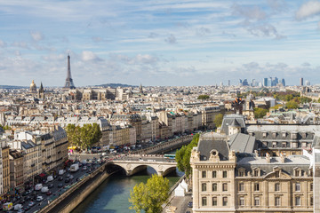 Naklejka premium Paryż widziany ze szczytu Notre Dame