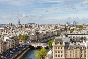 Fotobehang Parijs gezien vanaf de top van de Notre Dame © william87