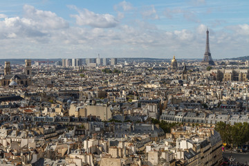 Paris seen from the top of Notre Dame © william87