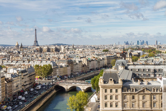 Fototapeta Paris seen from the top of Notre Dame