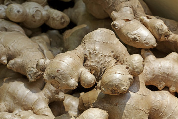Ingwer, Zingiber officinale - Ginger or Ginger root