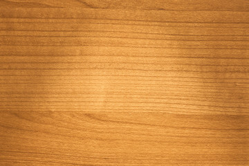 Texture of wood background