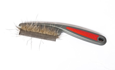 The comb for brush dog's hair on white background