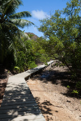 Fototapeta na wymiar Chemin de promenade sur l'île Curieuse aux Seychelle
