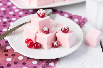 Homemade marshmallow with cranberries