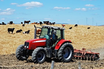 Fototapeta premium Tractor ploughing field, Andalusia © Arena Photo UK