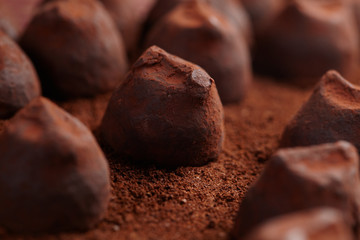 chocolate truffles
