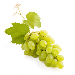 Obraz premium Bunch of grapes