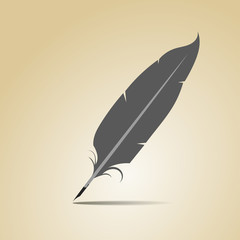 Feather on a yellow background
