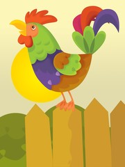 The rooster in the morning