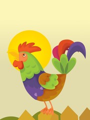 The rooster in the morning