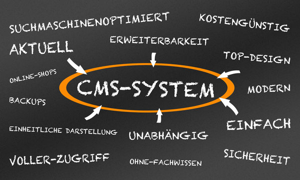 CMS SYSTEM