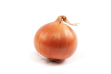 Ripe onion on a white background.