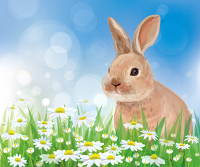 Vector of rabbit in flowers on sky background