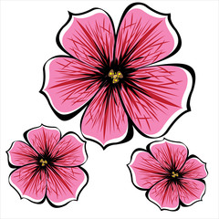 pink vector petunia flowers isolated on white background - obrazy, fototapety, plakaty
