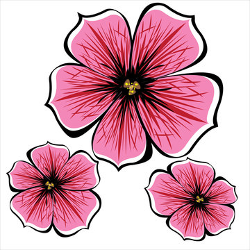Pink Vector Petunia Flowers Isolated On White Background