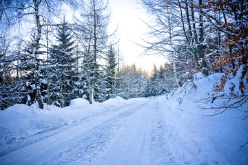 winter road in sunny day