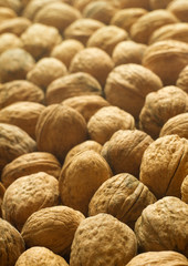 Closeup of  walnuts background.