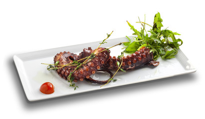 octopus salad on white background