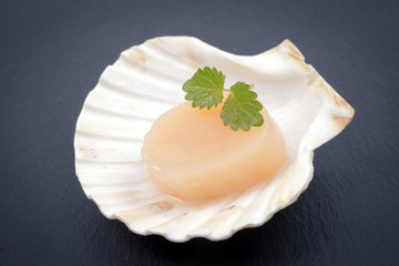Coquille saint-jacques
