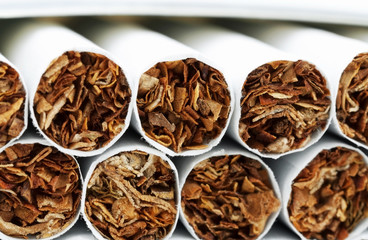 Macro photo of a pile of cigarettes