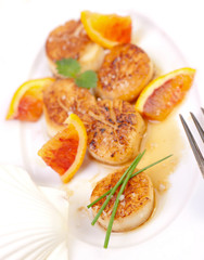 Coquille saint-jacques