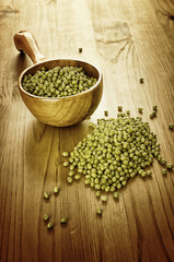 Soybeans in a wooden spoon