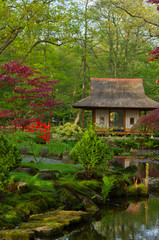 Japanese garden